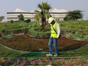 Pekerja Migran Indonesia Bersinar di Qatar dengan Gaya Pepatah Kuno