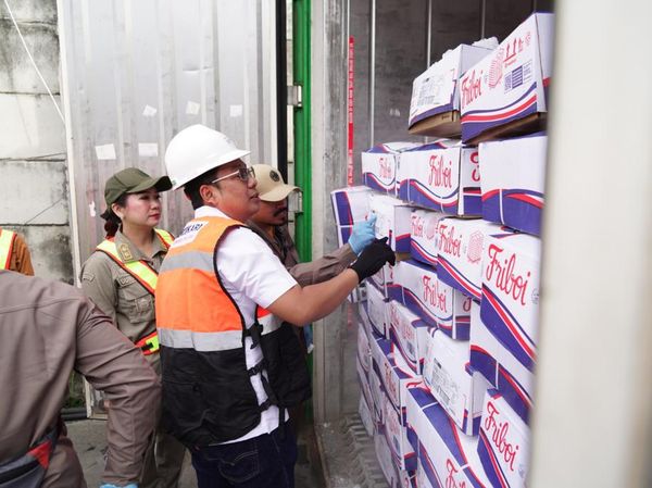 Penampakan Daging Sapi Brasil Masuk RI