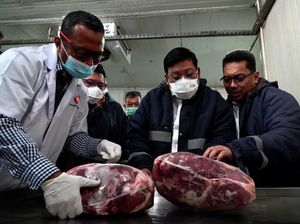 Daging Sapi Brasil Bakal Banjiri RI, Pedagang Langsung Bilang Begini Daging Sapi Brasil Bakal Banjiri RI, Pedagang Langsung Bilang Begini