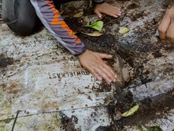 Polisi Ungkap Bangkai Pesawat di Kotabaru Ditemukan Warga 40 Tahun Lalu
