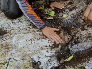 Polisi Ungkap Bangkai Pesawat di Kotabaru Ditemukan Warga 40 Tahun Lalu Polisi Ungkap Bangkai Pesawat di Kotabaru Ditemukan Warga 40 Tahun Lalu