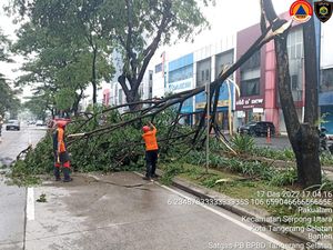 50 Pohon Tumbang Imbas Hujan Disertai Angin Kencang di Tangsel
