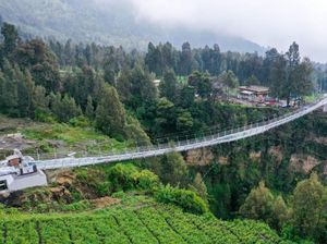 Jembatan Kaca Bromo yang Diresmikan Akhir November 2023 Sudah Diuji Kelayakan