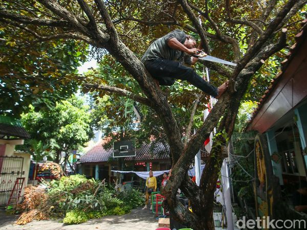 Relokasi SDN Pocin 1 Ditunda, Orang Tua Murid Beberes Sekolah
