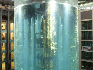 Geger Akuarium Raksasa Berlin Meledak, Ini 5 Hal yang Diketahui