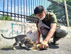 Melihat Aksi Kepedulian Anak Muda Bandung Terhadap Kucing Jalanan