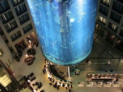 AquaDom Akuarium Terbesar Dunia Meledak, Diduga Ini Penyebabnya