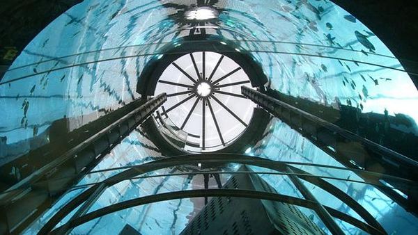 Melihat Akuarium Raksasa AquaDom Sebelum Meledak