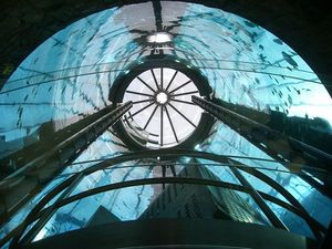 Melihat Akuarium Raksasa AquaDom Sebelum Meledak Melihat Akuarium Raksasa AquaDom Sebelum Meledak