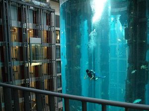 Serba-serbi AquaDom, Akuarium Silinder Terbesar di Dunia yang Meledak Serba-serbi AquaDom, Akuarium Silinder Terbesar di Dunia yang Meledak