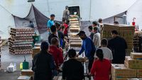 China Mulai Batasi Barang Impor dari Taiwan, Kenapa?