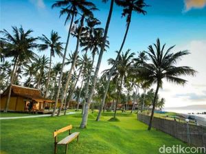 Berkah Pandemi Berakhir, Okupansi Hotel Banyuwangi Meningkat Jelang Nataru Berkah Pandemi Berakhir, Okupansi Hotel Banyuwangi Meningkat Jelang Nataru