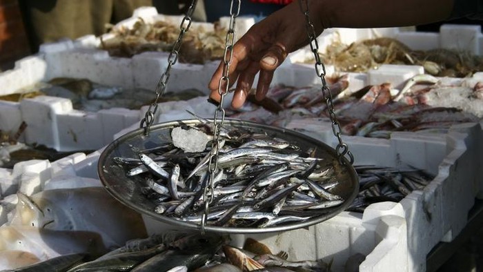 Bingung 1 Ton Itu Berapa Kilo? Yuk, Simak Konversinya Biar Nggak Salah!