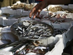 1 Ton Berapa Kg? Begini Cara Konversi dan Contohnya