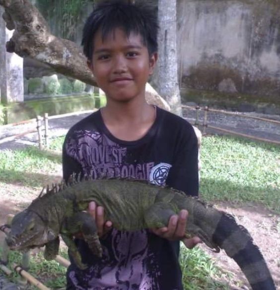 Kaesang Pangarep