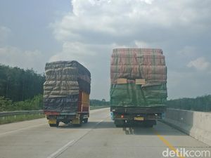 Pakar Sebut Perlu Instruksi Presiden Atasi ODOL