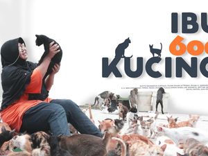 Kisah Seorang Ibu Hidup Bersama 600 Kucing Terlantar