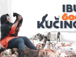 Kisah Seorang Ibu Hidup Bersama 600 Kucing Terlantar