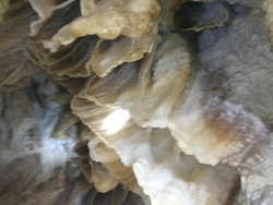 Contoh Batuan Sedimen, Beserta Pengertian dan Jenisnya