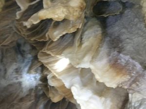 Contoh Batuan Sedimen, Beserta Pengertian dan Jenisnya Contoh Batuan Sedimen, Beserta Pengertian dan Jenisnya