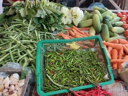 Ada Kabar Kurang Enak Nih Bun, Harga Cabai Rawit Hijau Tembus Rp 60.000/Kg