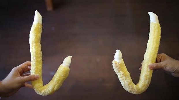 Jipangyi Korean ice cream/foto: korea.net Jipangyi Korean ice cream