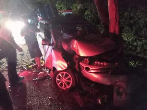 Mobil Ringsek Usai Hantam Pohon di Jalur Tengkorak Denpasar-Gilimanuk Mobil Ringsek Usai Hantam Pohon di Jalur Tengkorak Denpasar-Gilimanuk