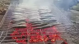 10 Gaya Nyeleneh Netizen Saat Bakar Makanan, Pakai Troli hingga Pagar