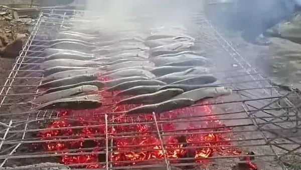 10 Gaya Nyeleneh Netizen Saat Bakar Makanan, Pakai Troli hingga Pagar