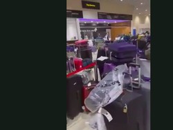 Viral, Tumpukan Koper Berdebu Tak Bertuan di Bandara Auckland