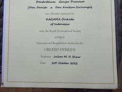 Ganjar Pranowo Jadi Nama Jenis Bunga Anggrek, Didaftarkan di Inggris