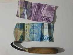 Pria di Banyuwangi Tega Sayat Leher Anak Majikan Demi Curi HP