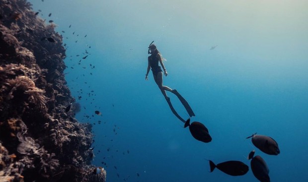 Snorkling di Bunaken/ foto: Instagram/ pojokakal Snorkling di Bunaken