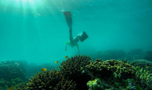Snorkling di Gili Labak/ foto: Instagram/ gililabak.id Gili Labak