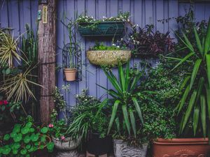 Vertical Garden Adalah: Kelebihan, Kekurangan, dan Cara Membuatnya