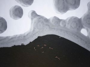 6 Foto Musim Dingin Ini Hasilkan Jepretan Monokrom Alami