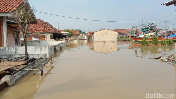 Potret Banjir Rob yang Terjang 3 Desa di Indramayu