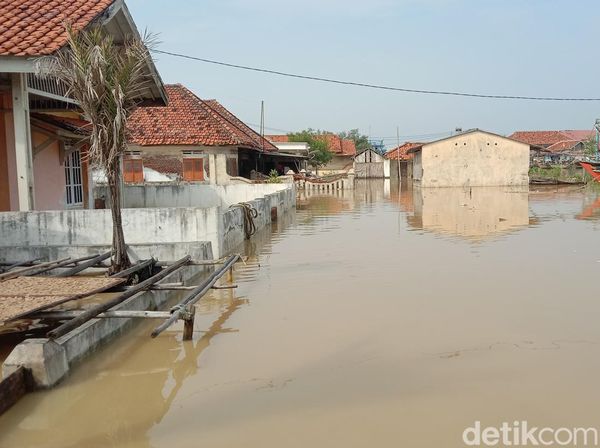 Potret Banjir Rob yang Terjang 3 Desa di Indramayu