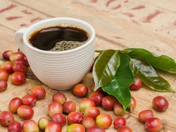 5 Daerah Penghasil Kopi Terbaik di Indonesia, Jadi Rebutan di Dunia!