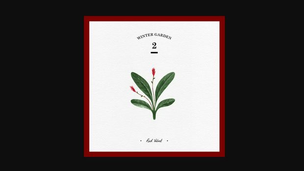 foto: Yotube.com/RedVelvet