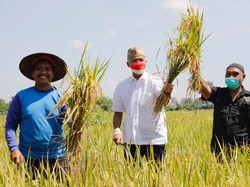 Ganjar Dorong Penyaluran Pupuk Subsidi ke Petani Tepat Sasaran