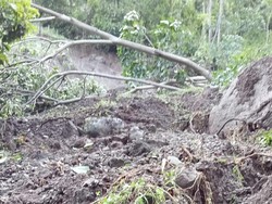 Akses Jalan 2 Dusun di Pinrang Tertutup Longsor Usai Diguyur Hujan Deras