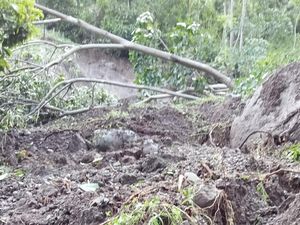 Akses Jalan 2 Dusun di Pinrang Tertutup Longsor Usai Diguyur Hujan Deras Akses Jalan 2 Dusun di Pinrang Tertutup Longsor Usai Diguyur Hujan Deras