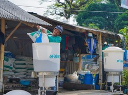 Danamas Sudah Kucurkan Bantuan Modal Rp 61,5 M ke Pelaku Industri Ikan