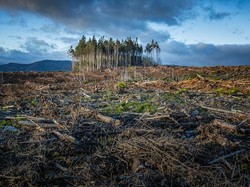 Apa Itu Perubahan Iklim, Penyebab, Dampak, dan Antisipasinya