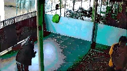 Gerak-gerik Paman Sebelum Bunuh Ibu Muda Cimahi Terekam CCTV