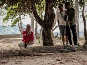 Nusra Sepekan: Keluhan Naiknya Tarif Wisata di BTNK-Persiapan KTT ASEAN Nusra Sepekan: Keluhan Naiknya Tarif Wisata di BTNK-Persiapan KTT ASEAN