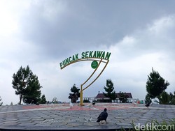 Indahnya Puncak Sekawan, Wisata Alam Unggulan di Blitar Manjakan Mata