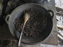 Turis di Bali Dihimbau Tak Minum Kopi Luwak, Ini Sebabnya