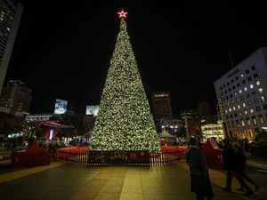 Sejarah Pohon Natal Masa ke Masa, Kenapa Identik dengan Pohon Cemara?